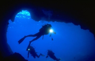 Scuba diving courses 
